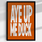 Aye Up Me Duck